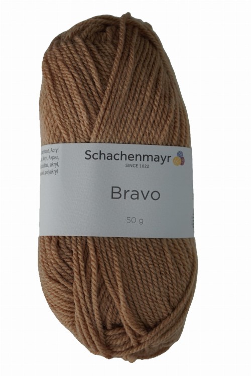 bravo_08312_braz.JPG